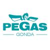 PEGAS - GONDA s.r.o.
