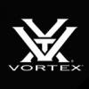 Vortex optics